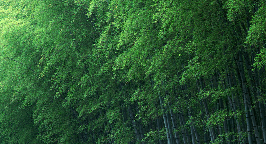 嘉興宣義国際貿易有限公司